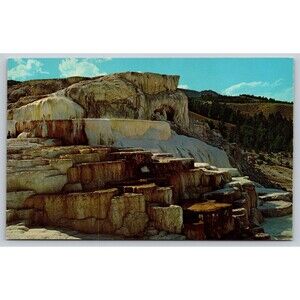 Postcard Wyoming Yellowstone National Park Minerva Terrace Mammoth Algae c1960s